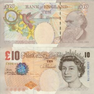 Buy Counterfeit 10 British Pound Sterling Banknotes (£10)