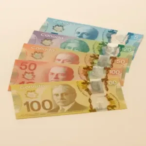 Counterfeit Canadian Dollar Banknotes